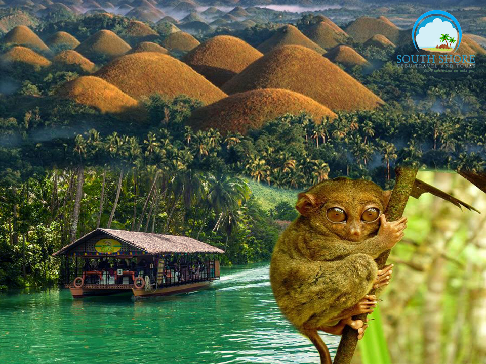 Cebu Bohol Countryside Tour Package Affordable Bohol Tour Package